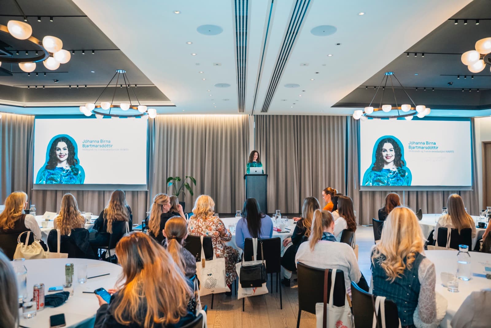 Jóhanna presenting to a room of professionals seated at round tables